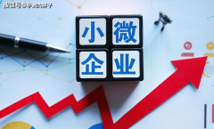 税人审定征收政策照旧