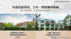 表示为图案、美术